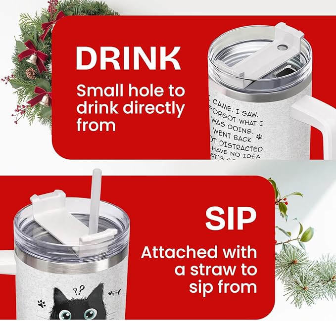 34HD Funny Black Cat Tumbler with Handle and Straw, 40oz Cute Furry Friend Travel Mug Stainless Steel, I Came I Saw Cup, Birthday Gifts for Cat Lovers Women Men