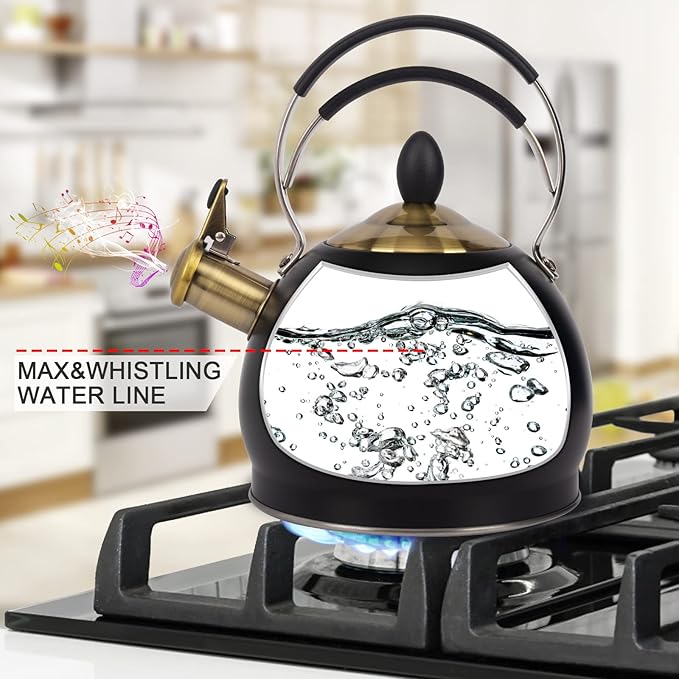 Whistling Tea Kettle Stainless Steel Teapot, Teakettle for Stovetop Induction Stove Top, Fast Boiling Heat Water Tea Pot 2.6 Quart