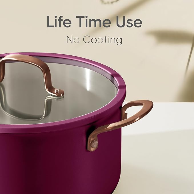 CAROTE 6QT Fully-Clad 3-Ply Stainless Steel Stockpot with Lid Small Kitchen Pot,Outer Ceramic Layer,Even Heating, Fits all stoves,Oven & Dishwasher Safe,Stay Cool Handle,Purple (PFAS/PFOA/PFOS Free)