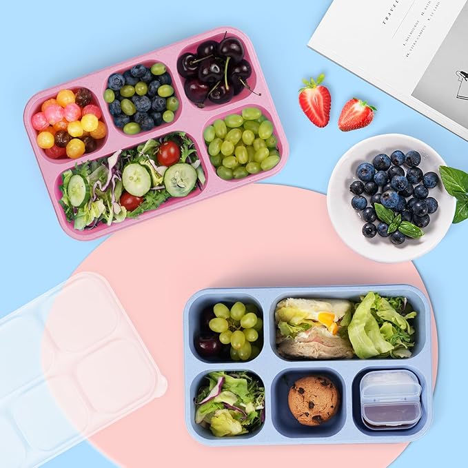 Bento Box Adult Lunch Box 4 Pack, 5 Compartment Snack Containers with Lids, Divided Food Storage Containers, Reusable Meal Kids Bento Lunch Boxes for School Home Travel