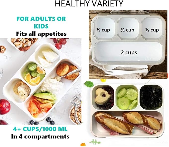 kinsho Bento Lunch Box Container for Kids Adults, Portion Control Meal Prep and Snack Containers, Japanese Style Boxes with 4 Compartments for Boys Girls Teens, School Work and Travel | Grey