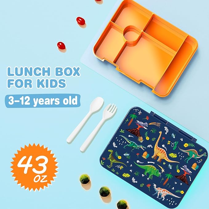 Bevalsa Kids Bento Lunch Box with 6 Compartment, Stainless Steel Metal Water Bottle, Insulated Bag & Utensils, BPA-Free Leakproof Food Container for School Boys Girls, Back To School Gift