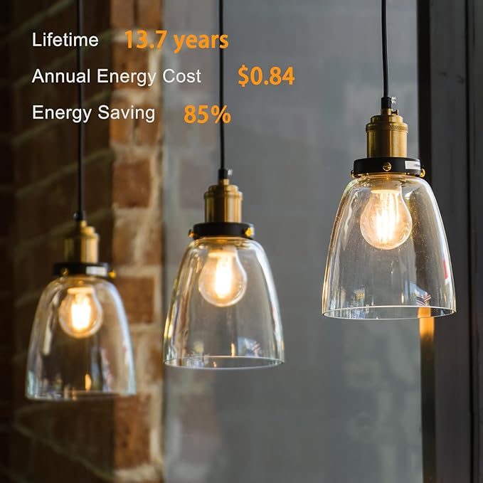 TJOY 24 Pack A19 Vintage LED Edison Bulbs, Dimmable, 60W Equivalent, High Brightness 2700K Warm White, 8W E26 Standard Base, 800 Lumens, CRI80+, Clear Glass Filament Bulb for Home, Farmhouse