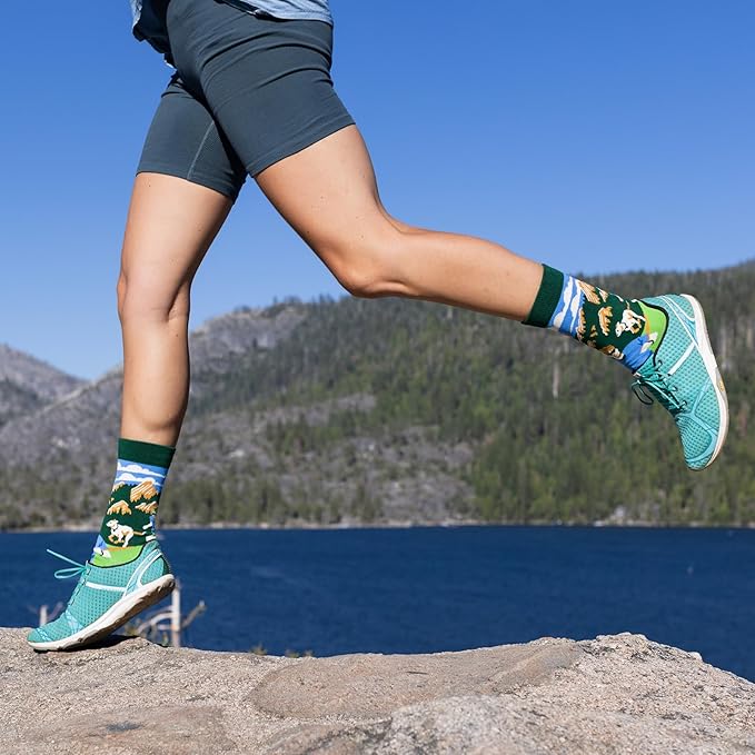 Lavley Funny Socks for Sports Fans and Players - Cool Novelty Gifts for Men, Women, & Teens