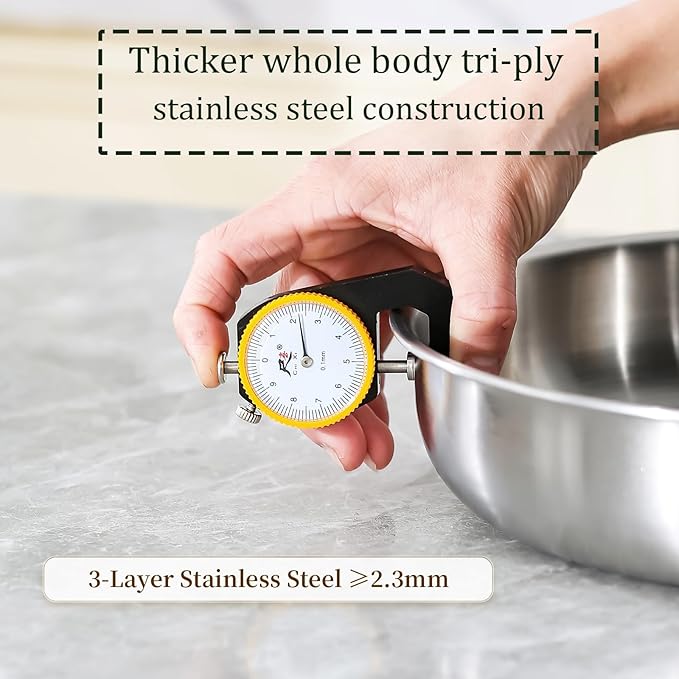 DELARLO Stainless Steel Pan 10.3Inch, Triply Stainless Steel Frying Pan with Lid, Heavy Duty, Compatible with Induction, Gas and Electric up to 650℉, Fast & Even Heating, Dishwasher, Oven Safe Skillet