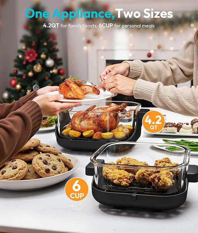 Portable Glass Air Fryer - 1500W, 4.2 QT & 6-Cup Dual Glass Containers with Lids, 4-in-1, 60 Min Timer, 140°F-400°F Adjustable, Microwave, Freezer & Dishwasher Safe, Grey
