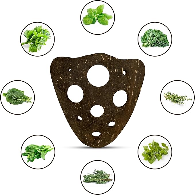 All-Natural Herb Stripper Tool for Fresh Herbs | 9-Hole Kale, Rosemary and Thyme Peeler | Eco-Friendly Kitchen Gadget | Metal & Plastic Free Herb Stripping Tool for Cilantro, Basil, Chard & More