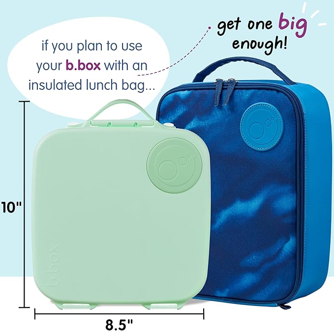 b.box Kids Lunch Box – 4 compartments (2 Leak-proof) Bento Box with Cold Pack & Removable Divider Reusable Snack Containers with Lids, Snack Box for Toddlers & Older Kids 8 1/2 cups (Spearmint)