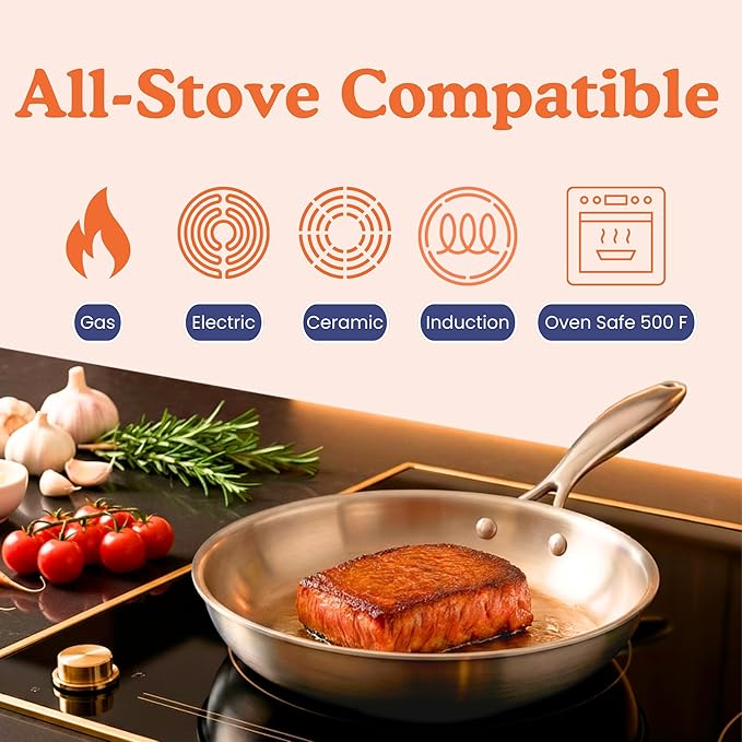 Ziruma Non-Toxic 9.5" Surgical Grade Stainless Steel Frying Pan, Fully Clad for Fast & Even Heat, PFOA-Free, Induction Compatible, Oven Safe to 500°F