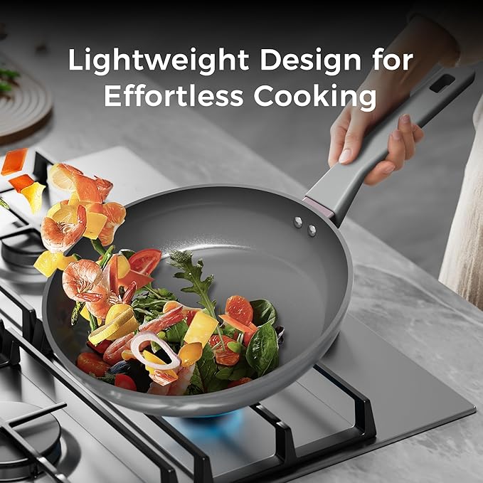 Sanho 10 Inch Frying Pan Nonstick, PFOS/PFOA/PTFE-Free Healthy Ceramic Coating, Induction Compatible Cookware for All Stovetops, Dishwasher Safe, Gray