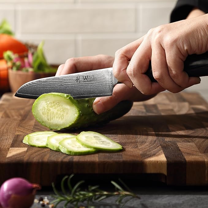 Wakoli Mikata 4-Piece Damascus Knife Set – Professional Kitchen Knife Set with VG10 Core, 67-Layer Damascus Steel and Ergonomic Micarta Handles – Premium Kitchen Knives in Gift Box