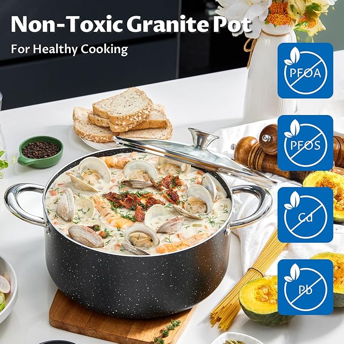 BEZIA Large 10 Quart Nonstick Stock Pot with Lid, Induction Cooking Pot Soup Pot, Non-toxic and Oven Safe, Perfect for Stews, Soups and All Stovetops, PFOA PFAS Free