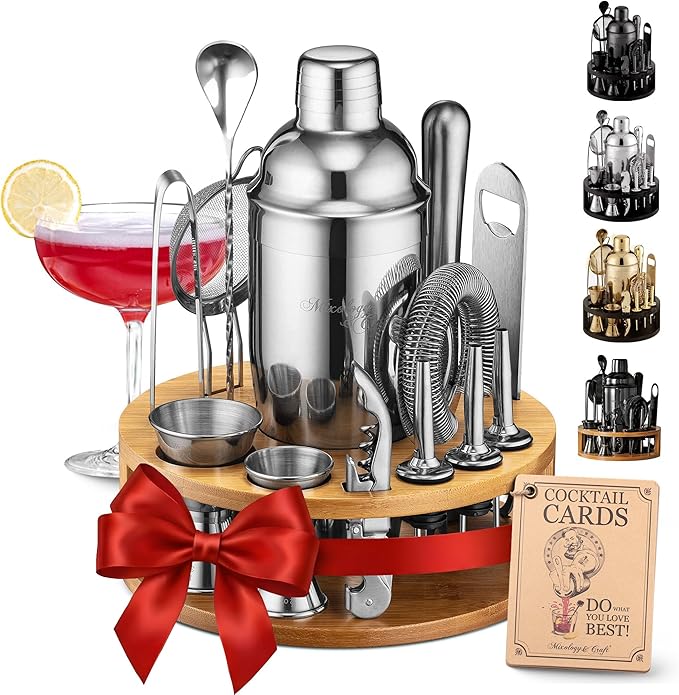 Mixology & Craft Bartender Kit – 15-Piece Cocktail Shaker Set with Bar Tools, Premium Stainless Steel Bar Accessories for Home Bar, Includes Bamboo Stand, Plus Exclusive Recipe Cards (Silver)