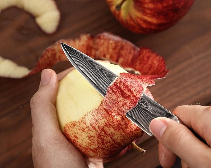Wakoli EDIB Essentials 4-Piece Damascus Knife Set – Professional Kitchen Knives with VG10 Core, 67-Layer Damascus Steel Blades – Santoku, Chef, Small Santoku & Office Knife with Pakkawood Handles
