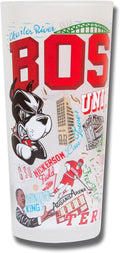 Catstudio Drinking Glass, Boston University Glass Cup for Kitchen, 15oz Dishwasher Safe Tumbler for BU Alumni