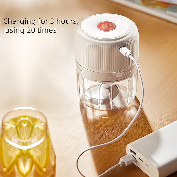 ELECTRIC GARLIC MINCE, 250ML Food Chopper USB, Mini Vegetable Chopper, Garlic Mincer, Onion Chopper, Portable Small Food Processor (white)