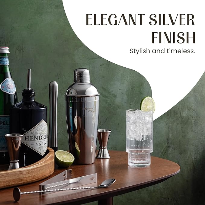 Mixology & Craft Bartender Kit: 14-Piece Professional Cocktail Shaker Set, Martini Shaker Set with Complete Bar Kit with Muddler & Jigger- Exclusive Cocktail Recipes Bonus