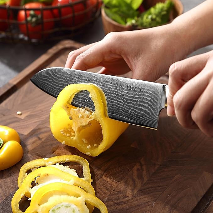 Wakoli Mikata 4-Piece Damascus Knife Set – Professional Kitchen Knife Set with VG10 Core, 67-Layer Damascus Steel and Ergonomic Micarta Handles – Premium Kitchen Knives in Gift Box