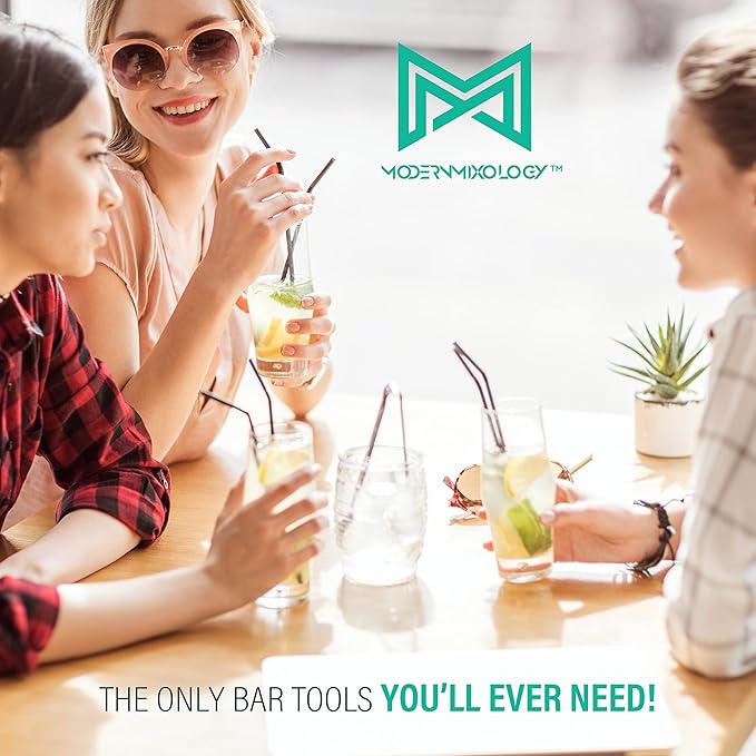 Modern Mixology 21-Piece Cocktail Shaker Set with Stand, Bartender Kit for Home Bar Accessories: 24oz Martini Shaker, Jigger, Strainer, Bar Spoon, Tongs, Opener, Muddler (Silver, Dark Brown Stand)