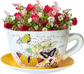 7.5" Round Ceramic Teacup Shape Planter Pot with Saucer for Succulents Orchids Herbs Cactus Indoor Houseplants Flowers for Home Garden and Event Decor – Orange Poppy Floral