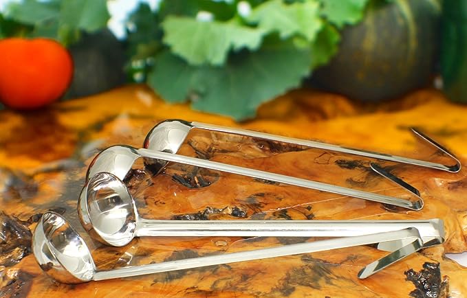 Stainless Steel Sauce Ladles - 2 Ounce Size with Long Handle, Set of 4