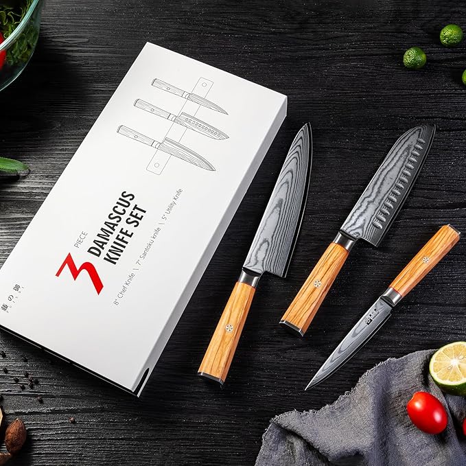 Damascus Kitchen Knife Set, Professional Chef Knife Set 67-Layer Damascus VG10 Steel, Olive Wood Handle with Gift Box, 3 Pieces