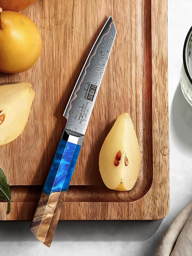 HOSHANHO Damascus Paring Knife 4 Inch, 67-Layer Damascus Steel Professional Small Kitchen Knives, Ultra Sharp Fruit Knife with Ergonomic Blue Resin Stabilized Wood Handle and Wood Gift Box