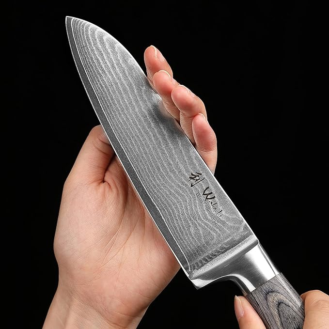 Wakoli EDIS 5-Piece Damascus Kitchen Knife Set – Professional Kitchen Knives with VG10 Core, 67-Layer Damascus Steel Blades and Ergonomic Pakkawood Handles – Premium Chef Knife Set in Wooden Gift Box