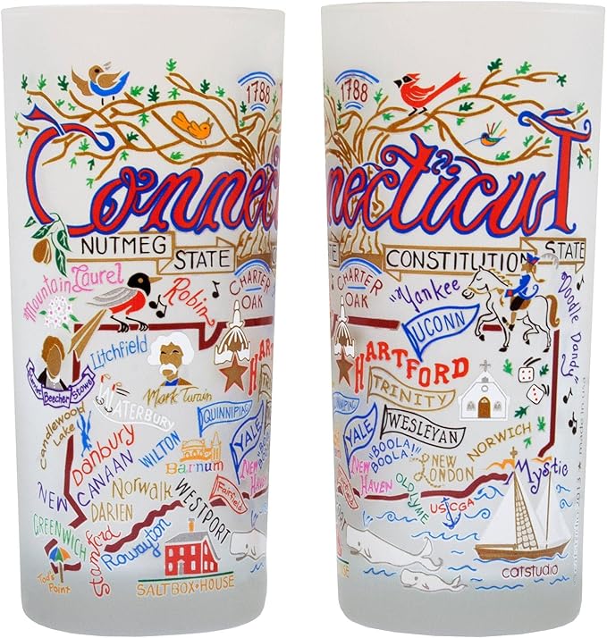 Catstudio Drinking Glass, Connecticut Frosted Glass Cup for Kitchen, Drinking Glasses, 15oz Dishwasher Safe Tumbler for Connecticut Lovers