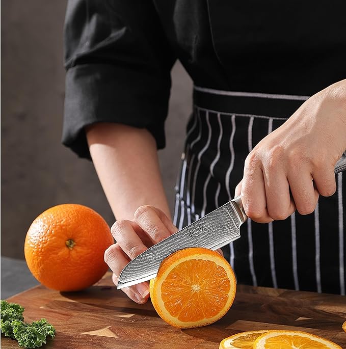 Wakoli EDIS 6-Piece Damascus Kitchen Knife Set – Professional Chef Knives Set with VG10 Core Blades, 67-Layer Damascus Steel & Ergonomic Pakkawood Handles – Premium Kitchen Knives in Elegant Gift Box