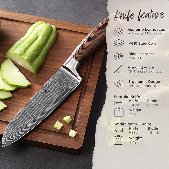 Wakoli EDIB 2-Piece Damascus Kitchen Knife Set – Santoku & Small Santoku with VG10 Core made of 67-Layer Damascus Steel Blades – Professional Chef Knives with Ergonomic Pakkawood Handles in Gift Box