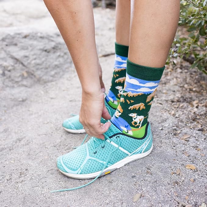 Lavley Funny Socks for Sports Fans and Players - Cool Novelty Gifts for Men, Women, & Teens