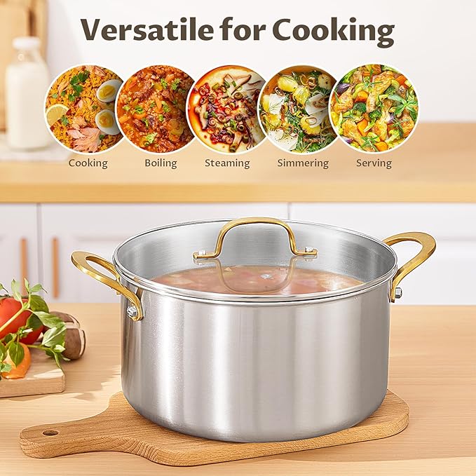 BEZIA 8 Quart Tri-Ply Stainless Steel Stock Pot with Lid, Soup Pot with Stainless Steel Handle, Exceptional Heat Distribution, Induction Cooking Pot for All Stoves, Silver