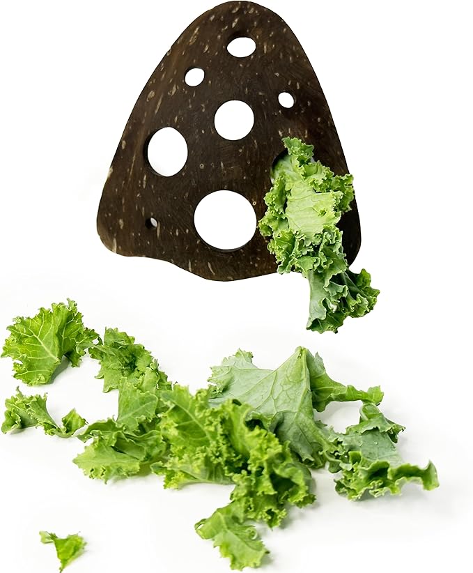 All-Natural Herb Stripper Tool for Fresh Herbs | 9-Hole Kale, Rosemary and Thyme Peeler | Eco-Friendly Kitchen Gadget | Metal & Plastic Free Herb Stripping Tool for Cilantro, Basil, Chard & More