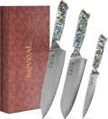 Damascus Kitchen Knife Set, 67-Layer Damascus Steel, Professional Chef Knives Set for Kitchen, Ergonomic Wood & Resin Handle (Blue, 3 pieces with Shell Handle)