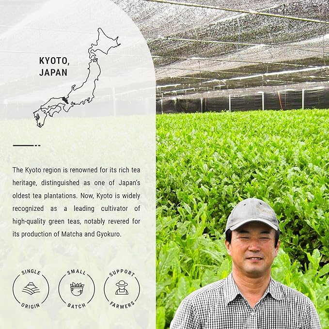 Senbird Premium Gyokuro, Japanese Shade Grown Green Tea - From Kyoto Japan - Imperial Loose Leaf Green Tea In Airtight Tea Tin (1.76oz/50g) (Ishin)