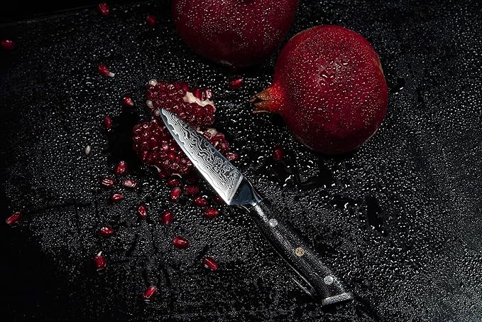 Oxford CHEF Paring Knife- 3.5 Inch - Damascus Japanese- VG10 Super Steel 67 Layer High Carbon Stainless Steel- Razor Sharp, Stain & Corrosion Resistant, Awesome Edge Retention