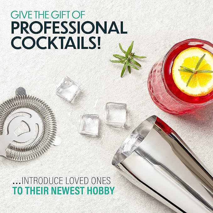 Modern Mixology 21-Piece Cocktail Shaker Set with Stand, Bartender Kit for Home Bar Accessories: 24oz Martini Shaker, Jigger, Strainer, Bar Spoon, Tongs, Opener, Muddler (Silver, Dark Brown Stand)