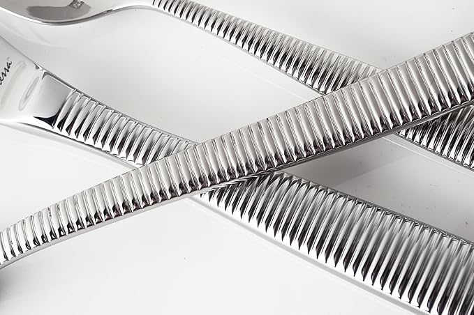 Fortessa Ringo 18/10 Stainless Steel Flatware Tea/Coffee Spoon, Set of 12
