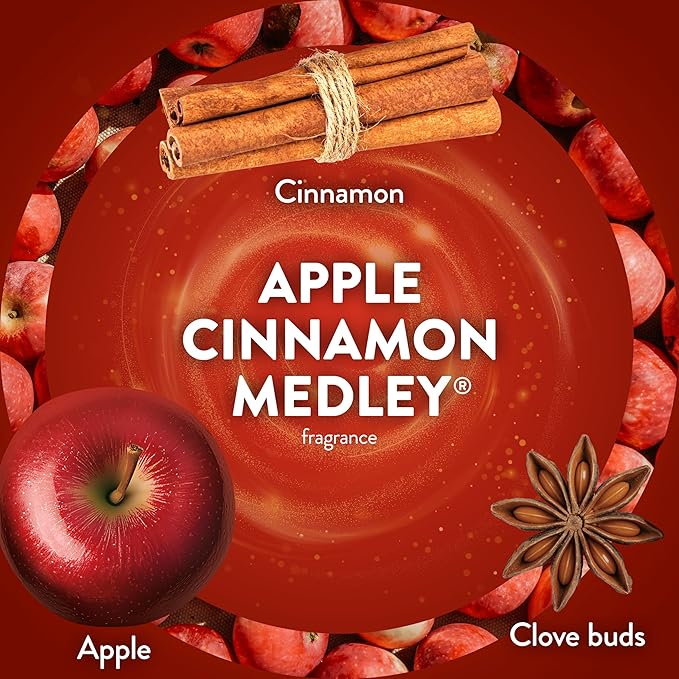 Air Wick Plug In Scented Oil Refill,Fall Scent, Fall Décor, Apple Cinnamon Medley, 7 ct