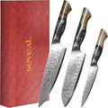 Damascus Kitchen Knife Set, 67-Layer Damascus Steel, 3-Piece Professional Set: 13” Chef, 12.3” Santoku & 9.8” Utility Knife, Ergonomic Wood & Resin Handle, Ideal for Gifting (Black, 3 pieces)